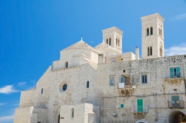 St. Corrado Dome. Molfetta. Apulia. clipart