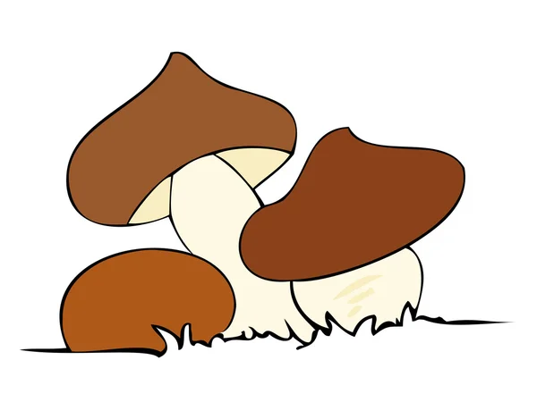 Їстівні гриби . — стоковий вектор