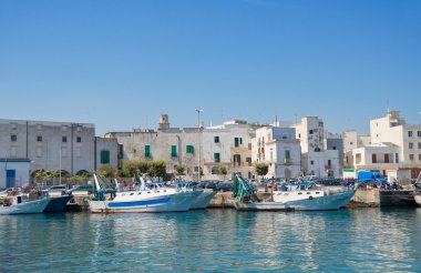 Touristic Port of Monopoli. Apulia. clipart