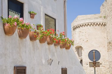 Monopoli Oldtown. Apulia.