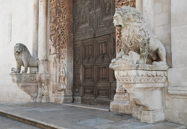Kathedraal van portaal van altamura. Apulië. — Stockfoto