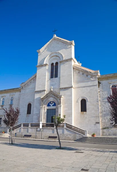 St. domenico kyrka. Giovinazzo. Apulien. — Stockfoto