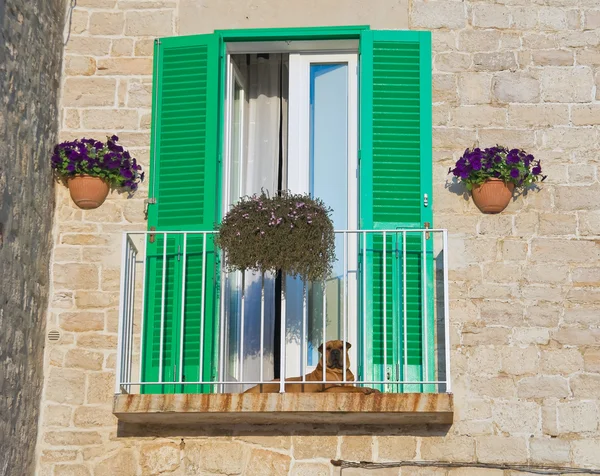 Balkon mit grünem Rollladen. — Stockfoto
