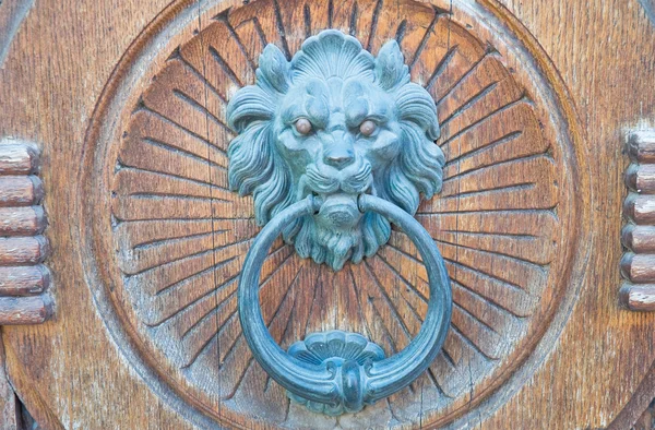 Doorknocker голова льва. — стоковое фото
