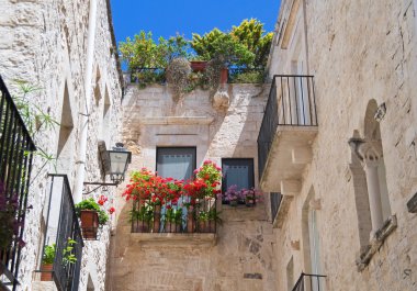 Giovinazzo oldtown. Apulia.