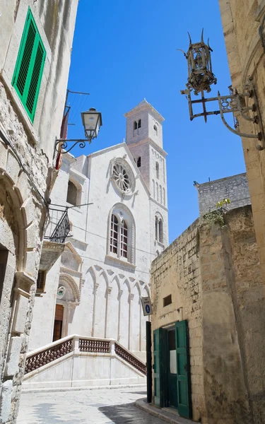 Kathedraal weergave in giovinazzo oldtown. Apulië. — Stockfoto
