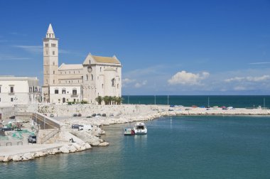 Cathedral of the sea. Trani. Apulia. clipart