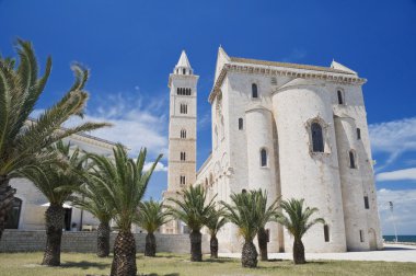 Trani Katedrali. Apulia.