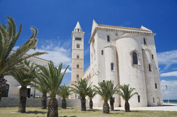Katedrála v Trani. Apulie. — Stock fotografie
