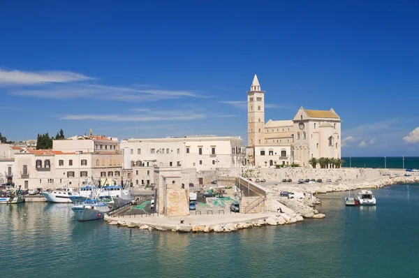 Katedralen i havet. Trani. Apulien. — Stockfoto