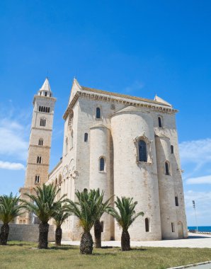 Trani Cathedral. Apulia. clipart