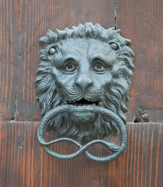Doorknocker głowa lwa. — Zdjęcie stockowe