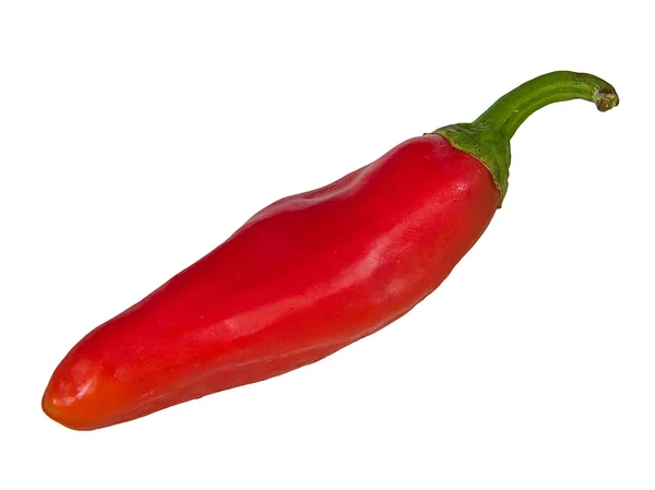 Červená horká chilli paprika. — Stock fotografie