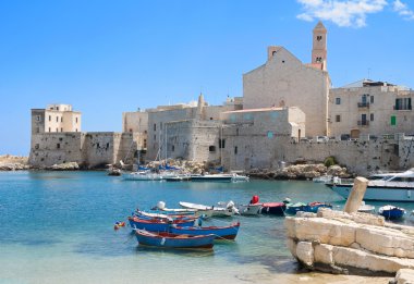 Panoramic view of Giovinazzo. Apulia. clipart