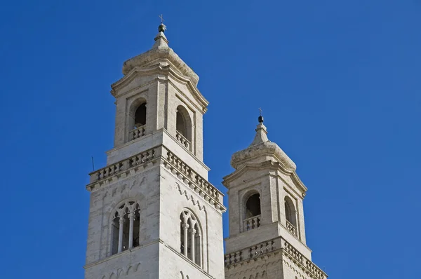İkiz kulelerinin Katedrali. Altamura. Apulia. — Stok fotoğraf