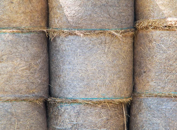 Pile of dry haystacks background. — Stock Photo, Image