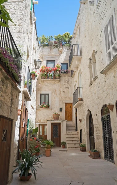 Giovinazzo città vecchia. La Puglia . — Foto Stock