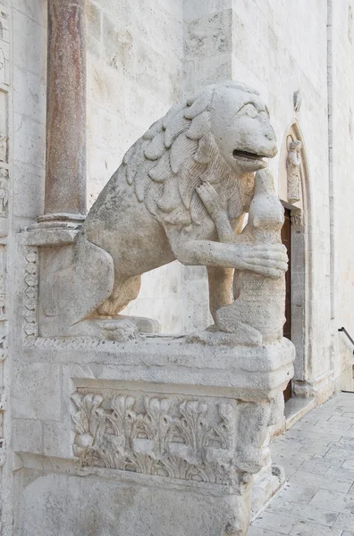 Szczegóły portalu bitetto katedry. Apulia. — Zdjęcie stockowe