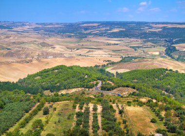 montescaglioso manzara. Basilicata.
