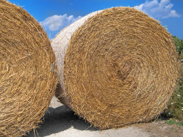 Rolling haystack. — Stock Photo, Image