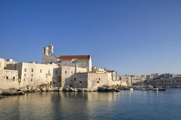 Kathedraal op de zee. Giovinazzo. Apulië. — Stockfoto