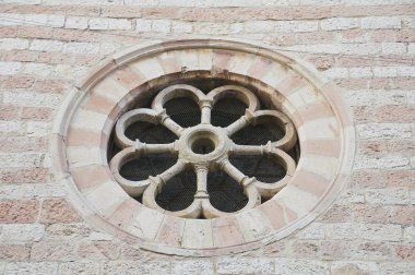 Gül pencere. St. croce Kilisesi. Bastia umbra. Umbria.