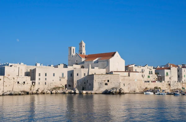 Katedra na morzu. Giovinazzo. Apulia. — Zdjęcie stockowe