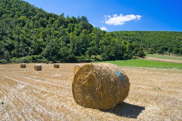 Rolling haystack. — Stock Photo, Image