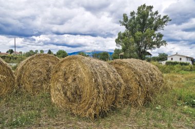 haystacks haddeleme.