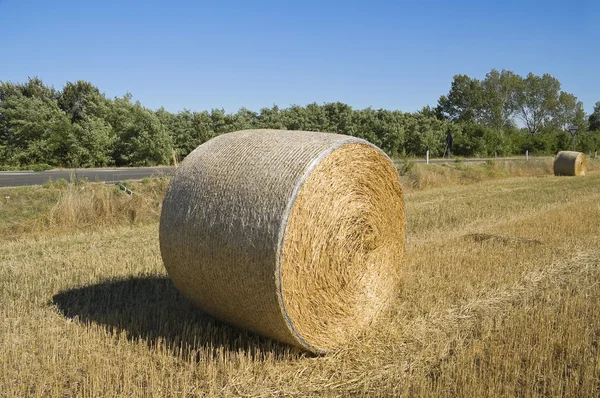 Rolling haystacks. — Stock Photo, Image
