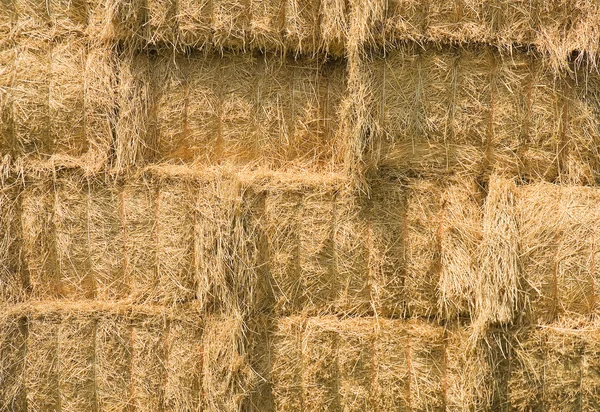 Close up of yellow hay bales. — Stock Photo, Image