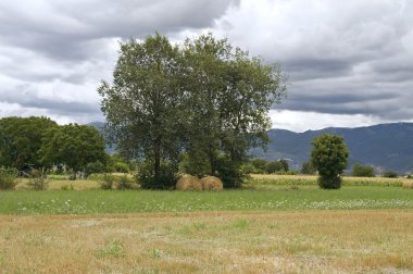 haystacks haddeleme.