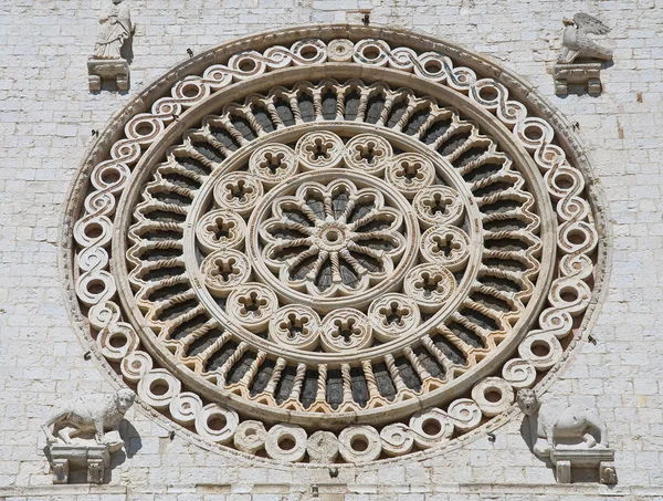 Rosenfenster. Basilika San Francesco. assisi. Umbrien. — Stockfoto