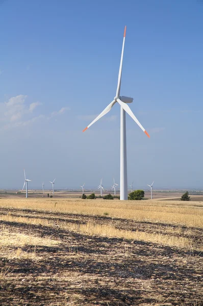 Лезвия ветряных турбин в сельской местности . — стоковое фото