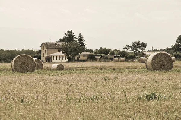 Rullande höstackar på landsbygden. — Stockfoto