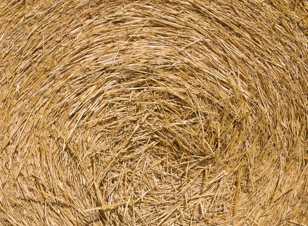 stock image Haystack background.