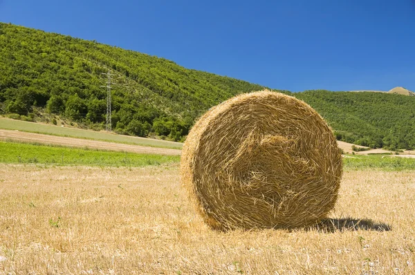 Rolling haystack in countryside. — Stock Photo, Image