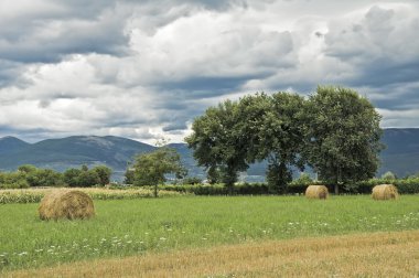 Rolling haystacks in countryside. clipart