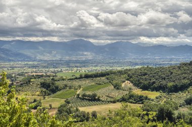 Landscape of Montefalco. Umbria. clipart