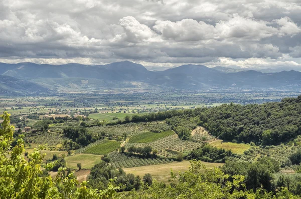 Landschap van montefalco. Umbrië. — Stockfoto