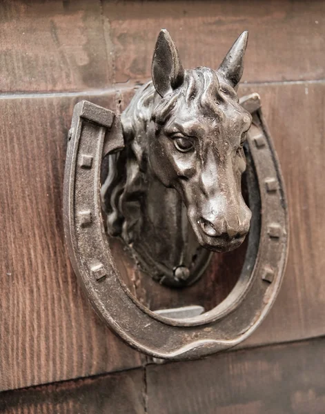 Tête de cheval Frappe à la porte . — Photo