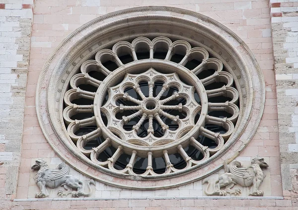 玫瑰的窗口。圣费利西亚诺大教堂。奧。翁布里亚. — 图库照片