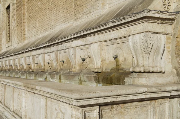 Medicea fontanna. Santa maria degli angeli. Umbria. — Zdjęcie stockowe