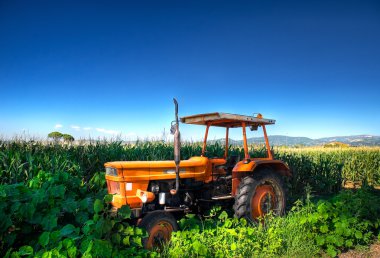 Truck in countryside. clipart