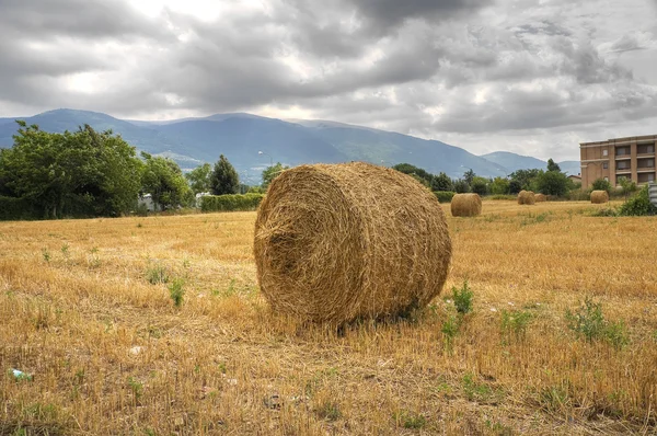 Haystacks kırsal alanda inişli çıkışlı.. — Stok fotoğraf