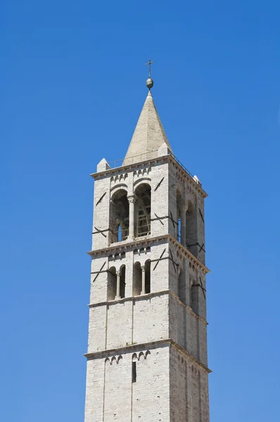 聖キアラ教会の鐘楼の教会。アッシジ。ウンブリア州. — ストック写真