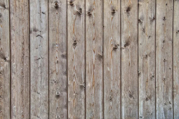 Pannelli di legno . — Foto Stock