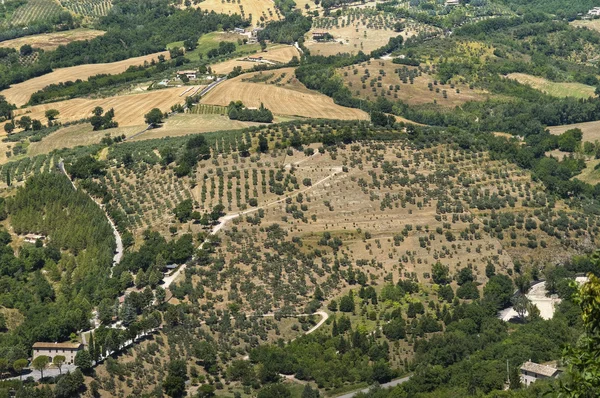 Landschap van het landbouwgebied. — Stockfoto