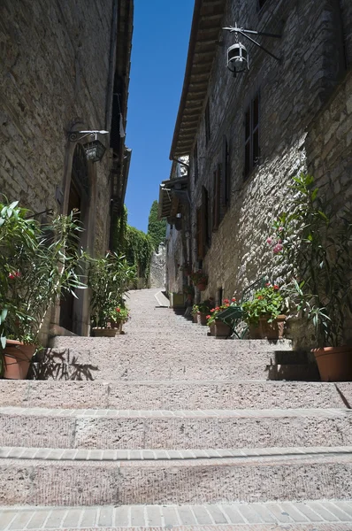 Steegje. Assisi. Umbrië. — Stockfoto