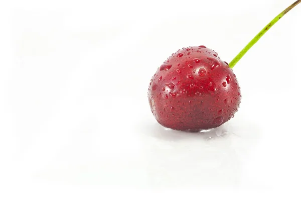 Single Cherry — Stock Photo, Image
